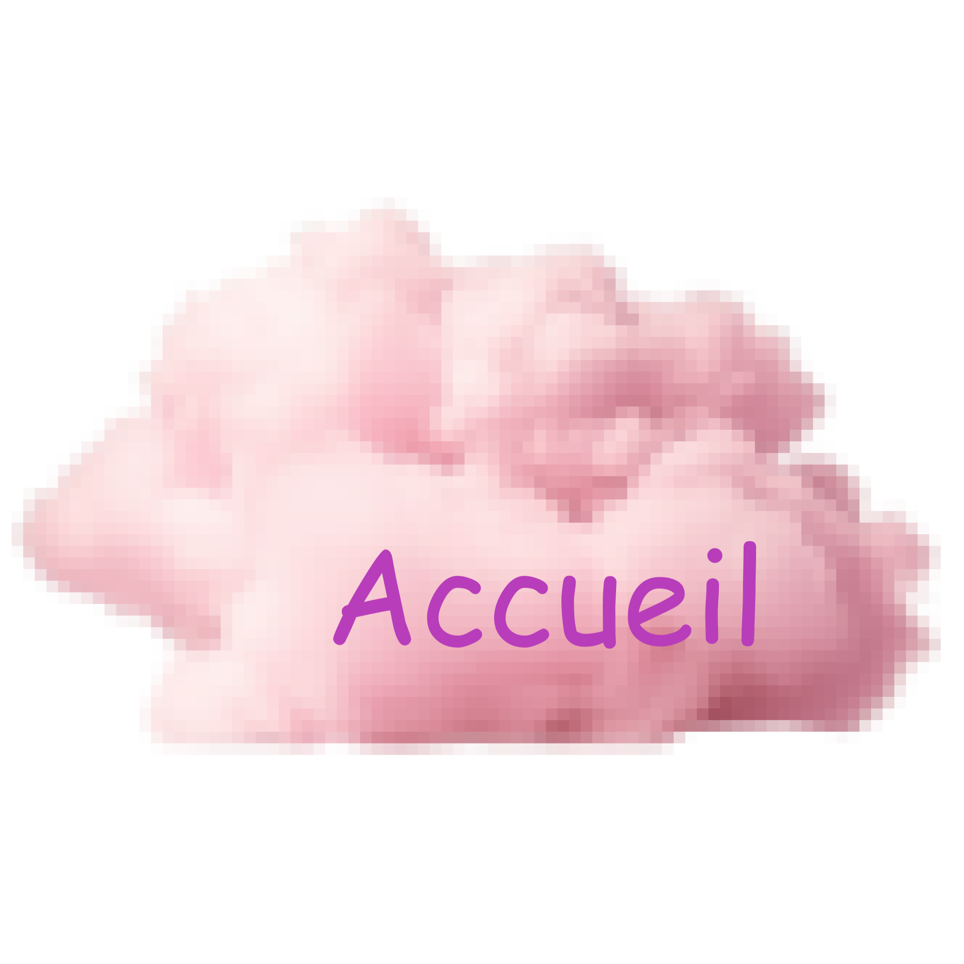 Accueil